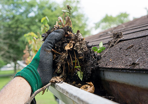 memphis-gutter-cleaning